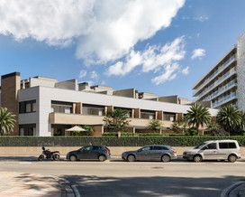santa amalia