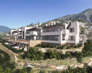 almazara hills + forest