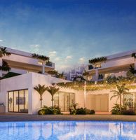 amaranta living