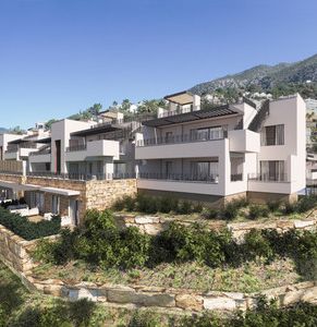 almazara hills + forest