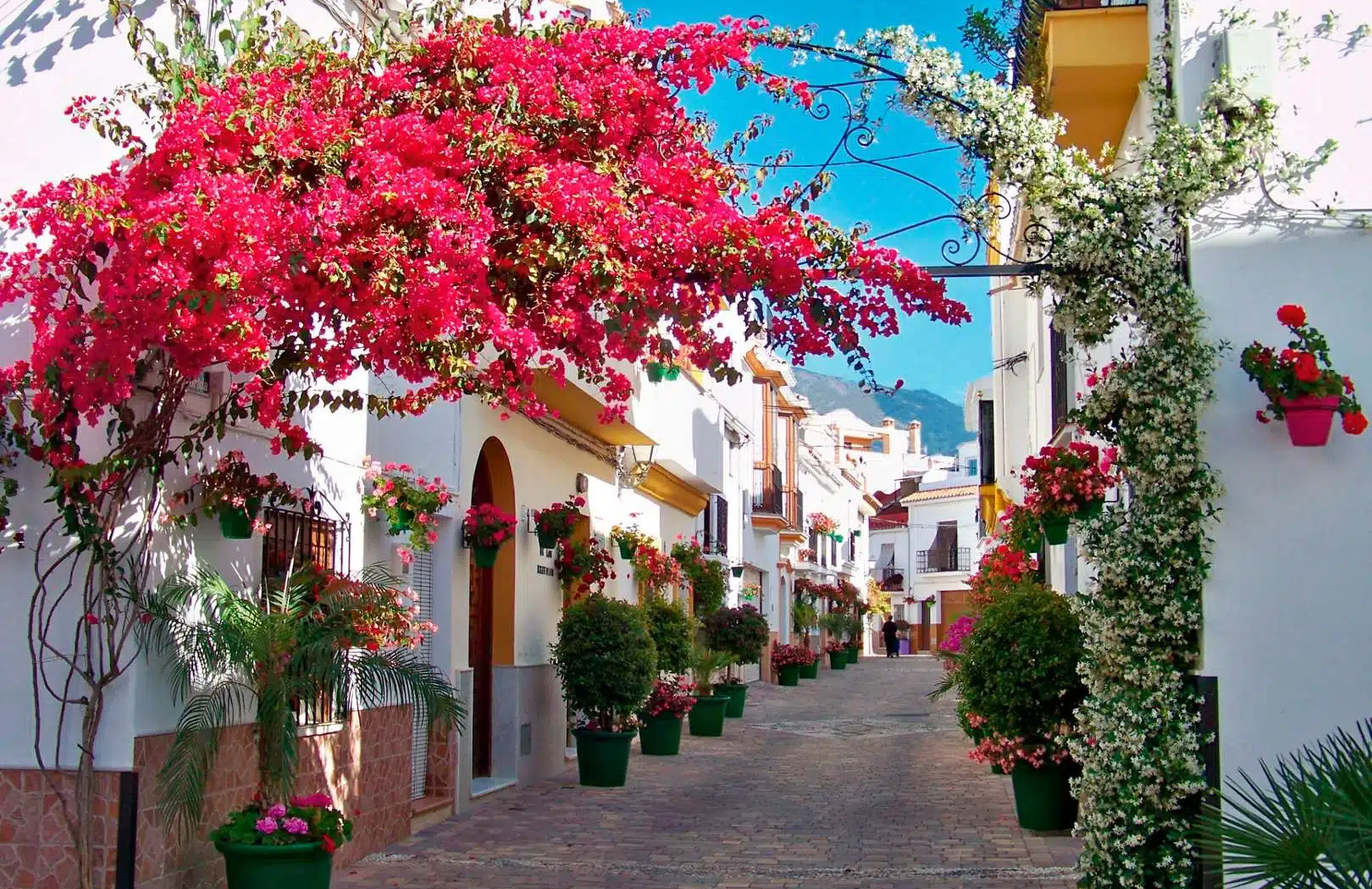 Estepona – idealne miejsce do życia i wypoczynku